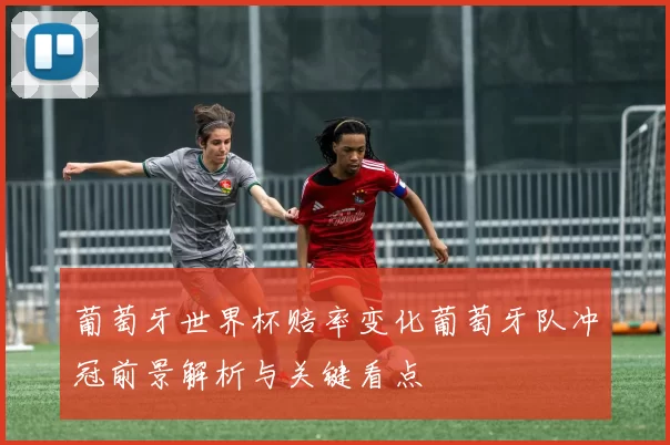 葡萄牙世界杯赔率变化葡萄牙队冲冠前景解析与关键看点