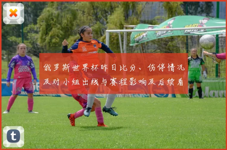 俄罗斯世界杯昨日比分、伤停情况及对小组出线与赛程影响及后续看点