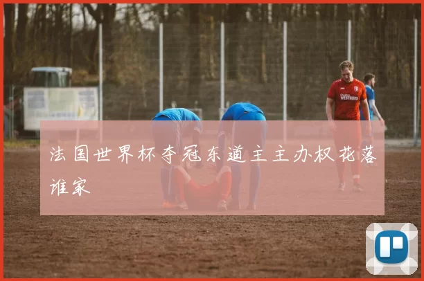 法国世界杯夺冠东道主主办权花落谁家