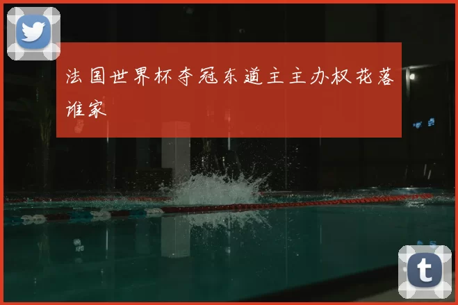 法国世界杯夺冠东道主主办权花落谁家
