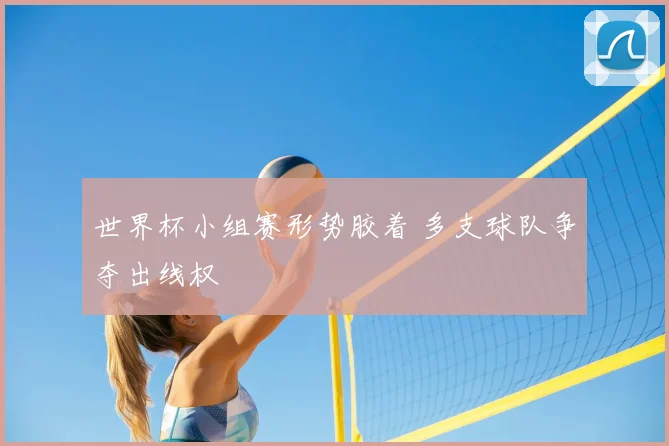世界杯小组赛形势胶着 多支球队争夺出线权