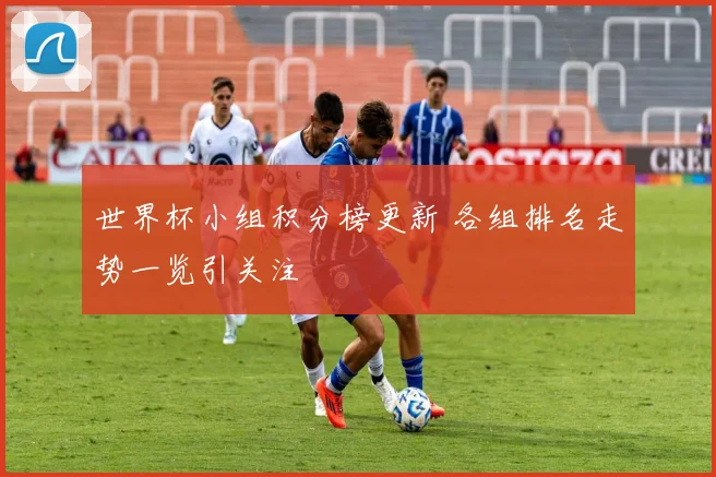 世界杯小组积分榜更新 各组排名走势一览引关注