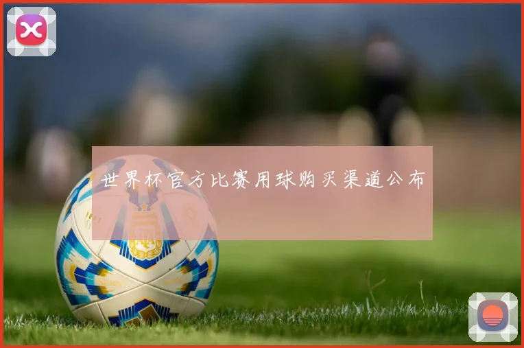 世界杯官方比赛用球购买渠道公布
