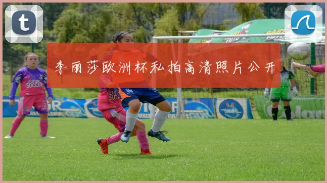 李丽莎欧洲杯私拍高清照片公开